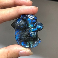 Dyed Natural Labradorite Carved Display Decorations, Figurine Home Decoration, Reiki Energy Stone for Healing, Squirrel, 40~60mm(PW-WG38302-05)