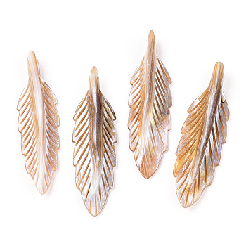 Natural Freshwater Shell Pendants, Leaf, Sandy Brown, 43~45x12~13x4~5mm, Hole: 1.2mm