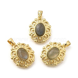 Natural Labradorite Pendants, Rack Plating Golden Tone Brass Oval Charms, Long-Lasting Plated, 18x14x6mm, Hole: 3.5x3mm(G-K381-01G-01)