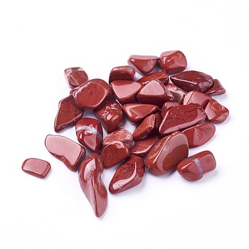 Natural Red Jasper Beads, Undrilled/No Hole, Chips, 8~21x7~13x4~10mm about 100g/bag