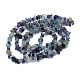 Natural Fluorite Stone Bead Strands(G-R192-05)-5