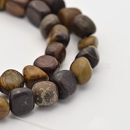 Natural Chinese Writing Stone Bead Strands, Tumbled Stone, 5~7x5~7mm, Hole: 1mm, about 15.7 inch(G-P070-58)
