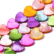 Natural Freshwater Shell Beads Strands, Dyed, Heart, Mixed Color, 11~12x12~13x3mm, Hole: 0.8mm, about 34~35pcs/strand, 14.96 inch(38cm)(SHEL-S278-024B)