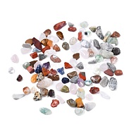 Natural Gemstone Beads, No Hole/Undrilled, Chip, 8~19x8~10x2~8mm, about 458pcs/500g(G-I304-03)