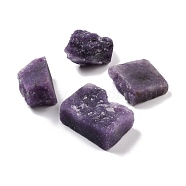 Rough Natural Lepidolite/Purple Mica Stone Beads, for Tumbling, Decoration, Polishing, Wire Wrapping, Wicca & Reiki Crystal Healing, No Hole/Undrilled, Nuggets, 29~38x21~30x12~20mm, about 5pcs/bag(G-D457-02)