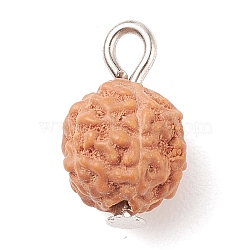 Undyed Natural Rudraksha Charms, with Iron Finding, Round, Saddle Brown, 12~13x8mm, Hole: 1.5~2mm(PALLOY-JF01583)