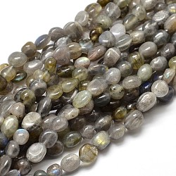 Natural Labradorite Nuggets Beads Strands, Tumbled Stone, 5~10x6~7x3~7mm, hole: 1mm, about 14.9 inch~15.7 inch(X-G-J335-40)