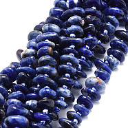 Natural Sodalite Beads Strands, Nuggets, 8~11x9~14x1.5~5mm, Hole: 0.8mm, about 74pcs/strand, 15.55''(39.5cm)(G-E569-J22)