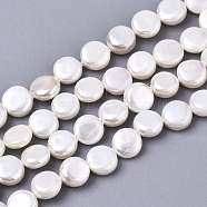 Natural Freshwater Shell Beads Strands, Flat Round, Linen, 6x3mm, Hole: 0.7mm, about 59~62pcs/strand, 13.70 inch~14.45 inch(34.8~36.7cm)(X-SHEL-N026-50B-01)