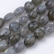 Natural Labradorite Beads Strands, Oval, 6~12x5~8x3~8mm, Hole: 1mm, about 50~57pcs/strand, 15.7 inch(G-Q952-12-6x8)