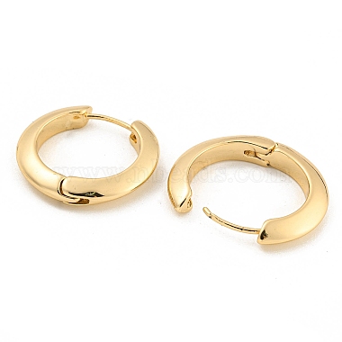 Alloy Hoop Earring(EJEW-P269-17KCG)-2