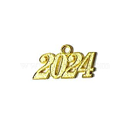 Alloy Charms, Number 2024, Golden, 33x19mm, Hole: 3mm(FIND-WH0137-65)