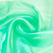 Two Tone Polyester Organza Fabric, Clothing Accessories, Spring Green, 150x0.01cm, about 3m/sheet(AJEW-WH0314-302A)