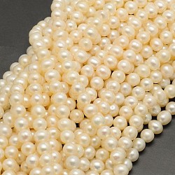 Natural Cultured Freshwater Pearl Beads Strands, Round, Beige, 6~6.5mm, Hole: 0.8mm, about 68pcs/strand, 15.5 inch(PEAR-F001-21-01)