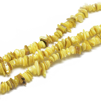 Freshwater Shell Beads Strands, Dyed, Chip, Yellow, 8~28x6~8x1~4.5mm, Hole: 1mm, about 340~380pcs/strand, 29.9 inch