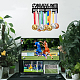 Support mural d'affichage de support de cintre de médaille de fer de thème sportif(ODIS-WH0021-668)-7