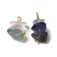 Natural Fluorite Pendants, Nuggets Charms with Real 18K Gold Plated Brass Loops, 13~19x7~13x5~7mm, Hole: 1.5~1.6mm(KK-P242-31G-08)