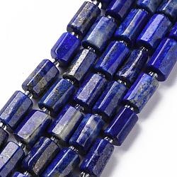 Natural Lapis Lazuli Beads Strands, Faceted, Column, 8~11x6~8x5~7mm, Hole: 1mm, about 17pcs/strand, 7.48 inch(X-G-S345-8x11-002)