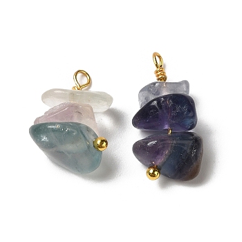 Natural Fluorite Pendants, Nuggets Charms with Real 18K Gold Plated Brass Loops, 13~19x7~13x5~7mm, Hole: 1.5~1.6mm