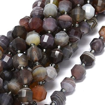 Natural Botswana Agate Beads Strands, with Seed Beads, Faceted, Bicone, Double Terminated Point Prism Beads, 9~10.5x8~10mm, Hole: 0.8mm, about 31pcs/strand, 15.16 inch(38.5cm)