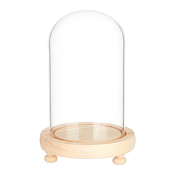 Glass Dome Cover, Decorative Display Case, Cloche Bell Jar Terrarium with Wood Base, Blanched Almond, 113x180mm