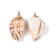 Natural Sea Shell Pendants, Shell Shaped Charms with Golden Tone Iron Loops, Sandy Brown, 35~45x20~26x15~21mm, Hole: 1.8mm(SSHEL-N038-31)