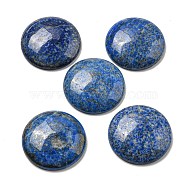 Natural Lapis Lazuli Cabochons, Flat Round, 30x7~8.5mm(G-C115-02B-07)