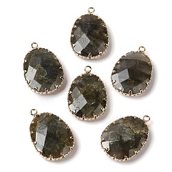 Natural Labradorite Faceted Pendants, Golden Tone Brass Egg Charms, 26.5x17.5x5.5mm, Hole: 1.6mm(G-Q169-01G-03)