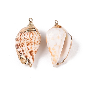 Natural Sea Shell Pendants, Shell Shaped Charms with Golden Tone Iron Loops, Sandy Brown, 35~45x20~26x15~21mm, Hole: 1.8mm