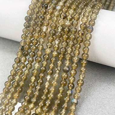 Natural Labradorite Beads Strands(G-M438-A01-01)-2