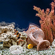 8Pcs 2 Style Transparent Acrylic Aquarium Shrimp Feeding Dishes(AJEW-GO0001-01)-6