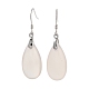 Natural Agate Dangle Earrings for Women(EJEW-C083-04P)-1