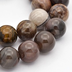 Natural Petrified Wood Round Beads Strands, 6mm, Hole: 1mm, about 60pcs/strand, 15.7 inch(G-P101-01-6mm)