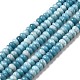 Natural Gemstone Beads Strands(G-F730-04A)-1
