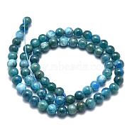 Natural Apatite Beads Strands, Round, 6~6.5mm, Hole: 0.6mm, about 66pcs/Strand, 15.35 inch(39cm)(G-O186-E02-6mm)