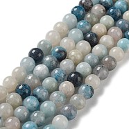 Natural Trolleite Beads Strands, Round, 6~6.5mm, Hole: 0.8mm, about 61pcs/strand, 15.35 inch(39cm)(G-NH0002-B01-01)