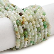 Natural Serpentine Beads Strands, Faceted, Round, 3mm, Hole: 0.8mm, about 140pcs/strand, 15.35''(39cm)(G-G161-D24-01)