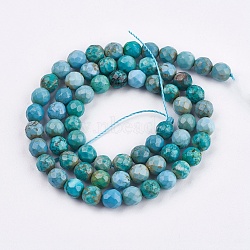 Dyed & Heated Natural Howlite Beads Strands, Faceted, Round, Cyan, 6mm, Hole: 1mm, about 65pcs/strand, 15.7 inches(40cm)(TURQ-F010-04B-6mm)
