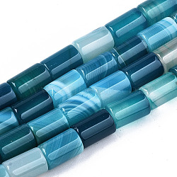 Natural Agate Beads Strands, Dyed, Column, Dark Turquoise, 11.5~12.5x8.5mm, Hole: 1.2mm, about 33pcs/strand, 15.35 inch(39cm)(G-T131-70B)