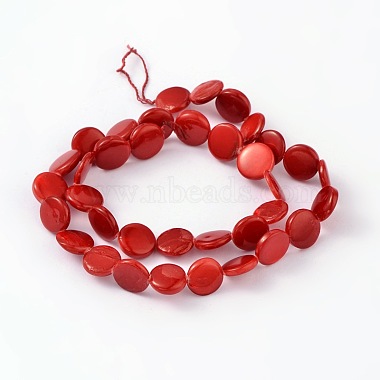 Natural Shell Beads Strands(PBB-XXBK023Y-1)-2