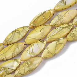Drawbench Freshwater Shell Beads Strands, Dyed, Horse Eye, Goldenrod, 20~22x7.5~8.5x3.5~4.5mm, Hole: 1mm, about 24pcs/Strand, 15.35 inch~15.55 inch(X-SHEL-T014-008B-05)