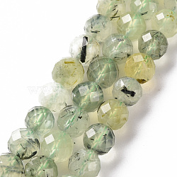 Natural Prehnite Beads Strands, Round, Faceted, 8mm, Hole: 1.2mm, about 49~50pcs/strand, 14.96 inch(38cm)(G-S362-128E)