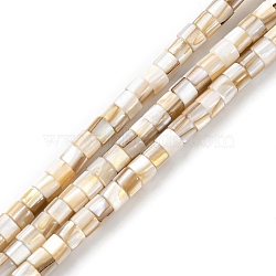 Natural Freshwater Shell Beads Strands, Column, Seashell Color, 3x4mm, Hole: 0.8mm, about 124~125pcs/strand, 15.28~15.47''(38.8~39.3cm)(SHEL-R129-05)