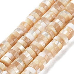 Natural Trochus Shell Beads Strands, Flat Round/Disc, Heishi Beads, Faceted, Navajo White, 5~6x2~2.5mm, Hole: 1mm, about 175pcs/strand, 15.67''(39.8cm)(BSHE-E030-09A-02)