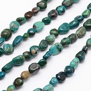 Nuggets Natural Chrysocolla Beads Strands, Tumbled Stone, 5~8x5~8mm, Hole: 1mm, about 15.5 inch(G-N0164-10)