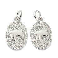 Rack Plating Brass Rhinestone Pendants, with Jump Ring, Long-Lasting Plated, Textured, Oval with Elephant, Crystal, Real Platinum Plated, 16x10x2mm, Hole: 3mm(KK-B046-10P)