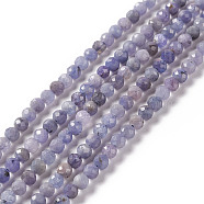 Natural Tanzanite Beads Strands, Faceted, Round, 4mm, Hole: 0.8mm, about 99pcs/strand, 15.35 inch(39cm)(G-F717-17B)