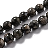 Natural Glaucophane Beads Strands, Round, 10.5mm, Hole: 1.2mm, about 37pcs/strand, 15.28''(38.8cm)(G-O199-01D)