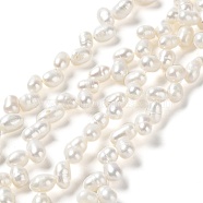 Natural Cultured Freshwater Pearl Beads Strands, Grade 3A, Rice, Seashell Color, 7~8.5x5~6mm, Hole: 0.7mm, about 68~74pcs/strand, 15.04''(38.2cm)(PEAR-J007-41)