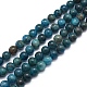 Natural Apatite Beads Strands(G-F591-01)-1